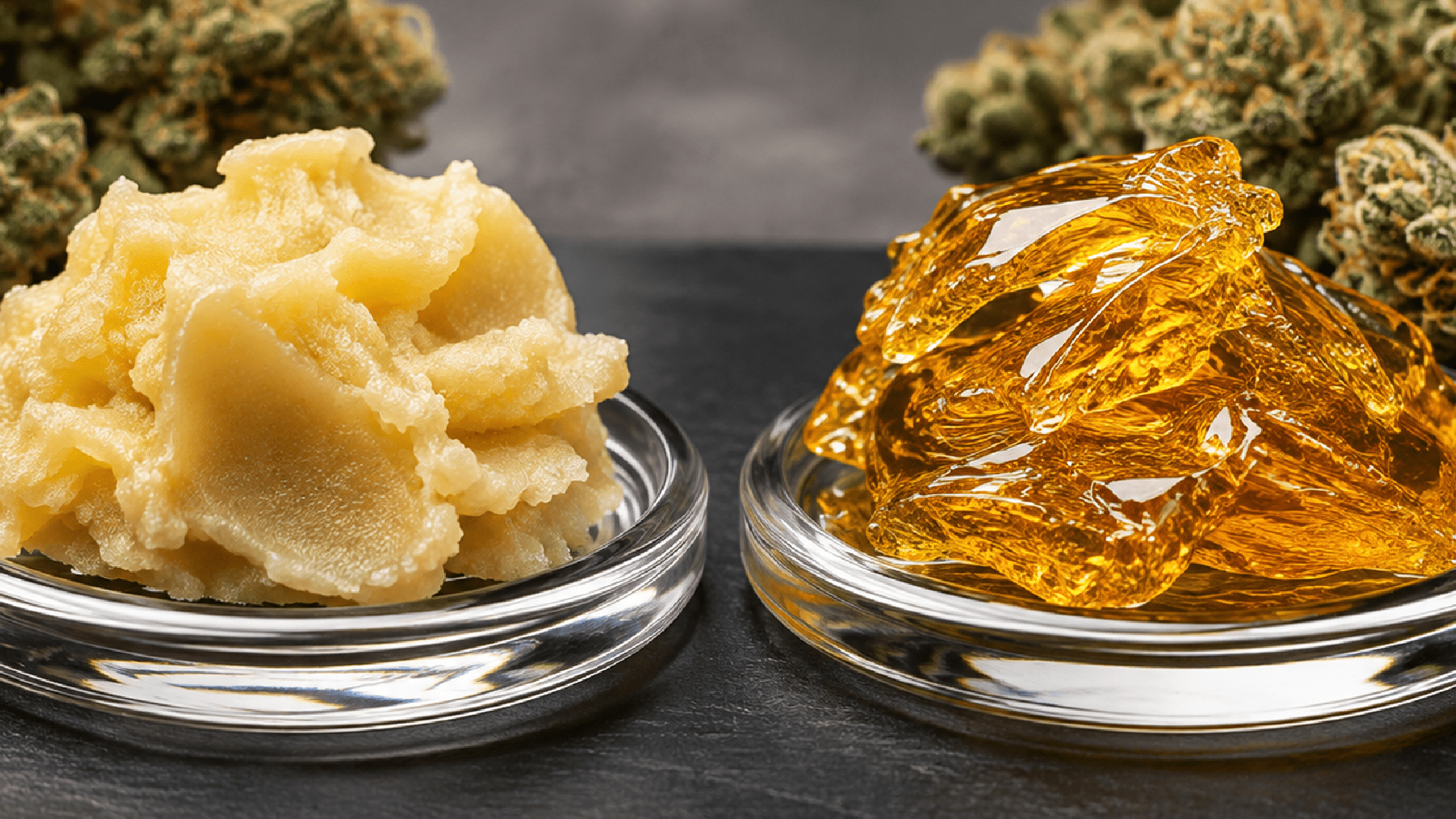 Close-up of two cannabis concentrates, with a pale solventless concentrate on the left and a golden solvent-based concentrate on the right, with cannabis flower in the background. - Solventless vs Solvent-Based Concentrates
